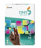DNS color_print_Ries_A4_3D_STEHEND