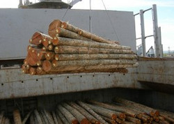 logs export