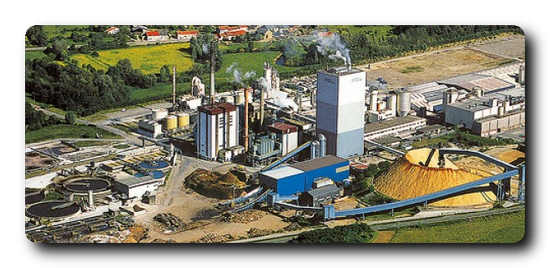 Burgo Ardennes pulp mill, Burgo Group